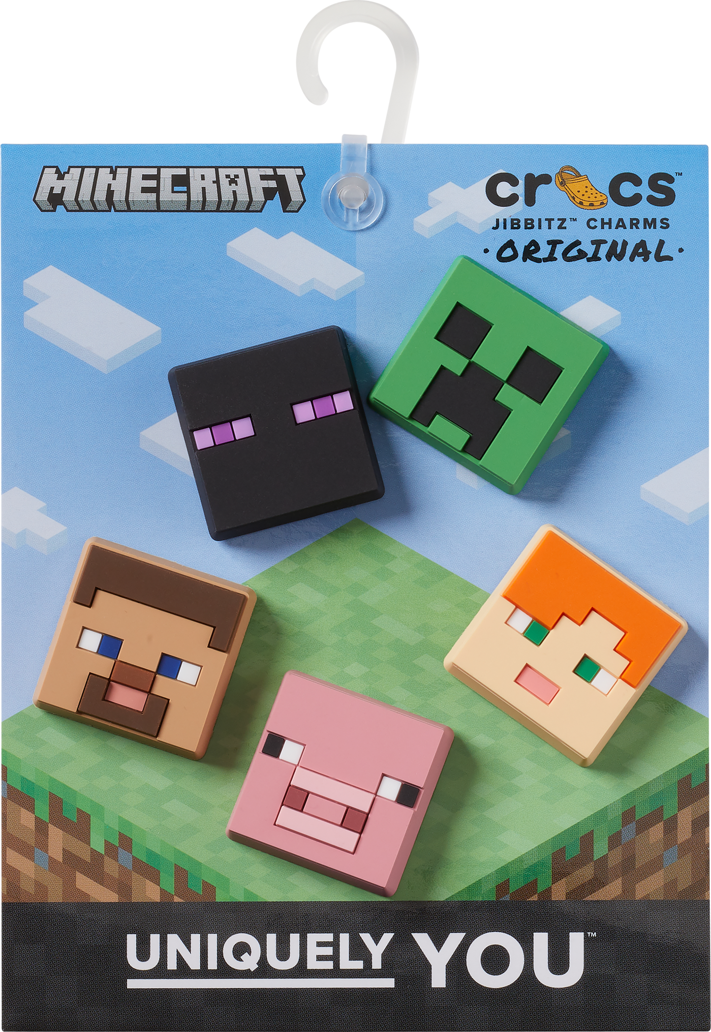Minecraft 5 Pack