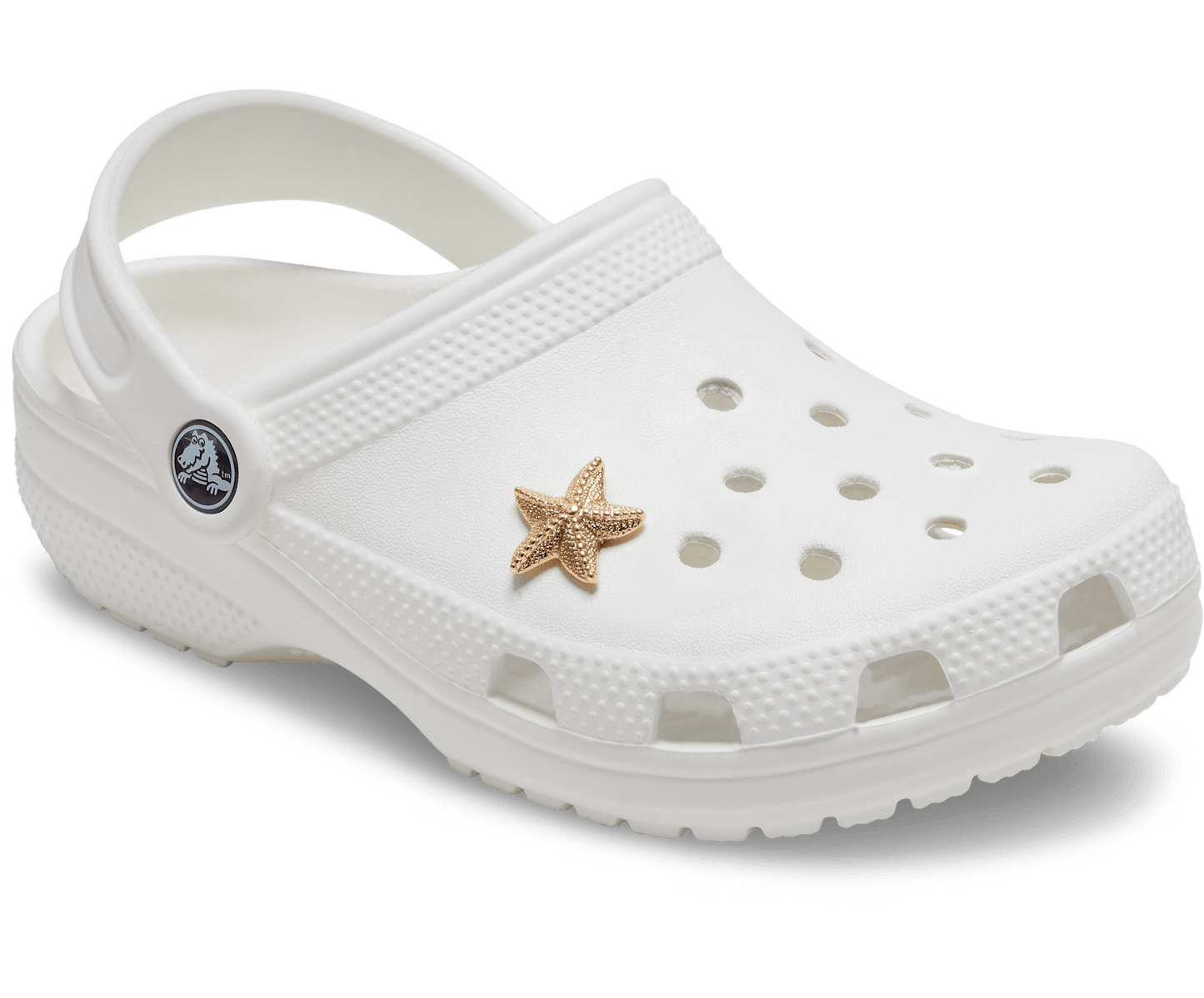 Gold Star Fish