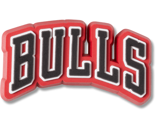 NBA Chicago Bulls 2