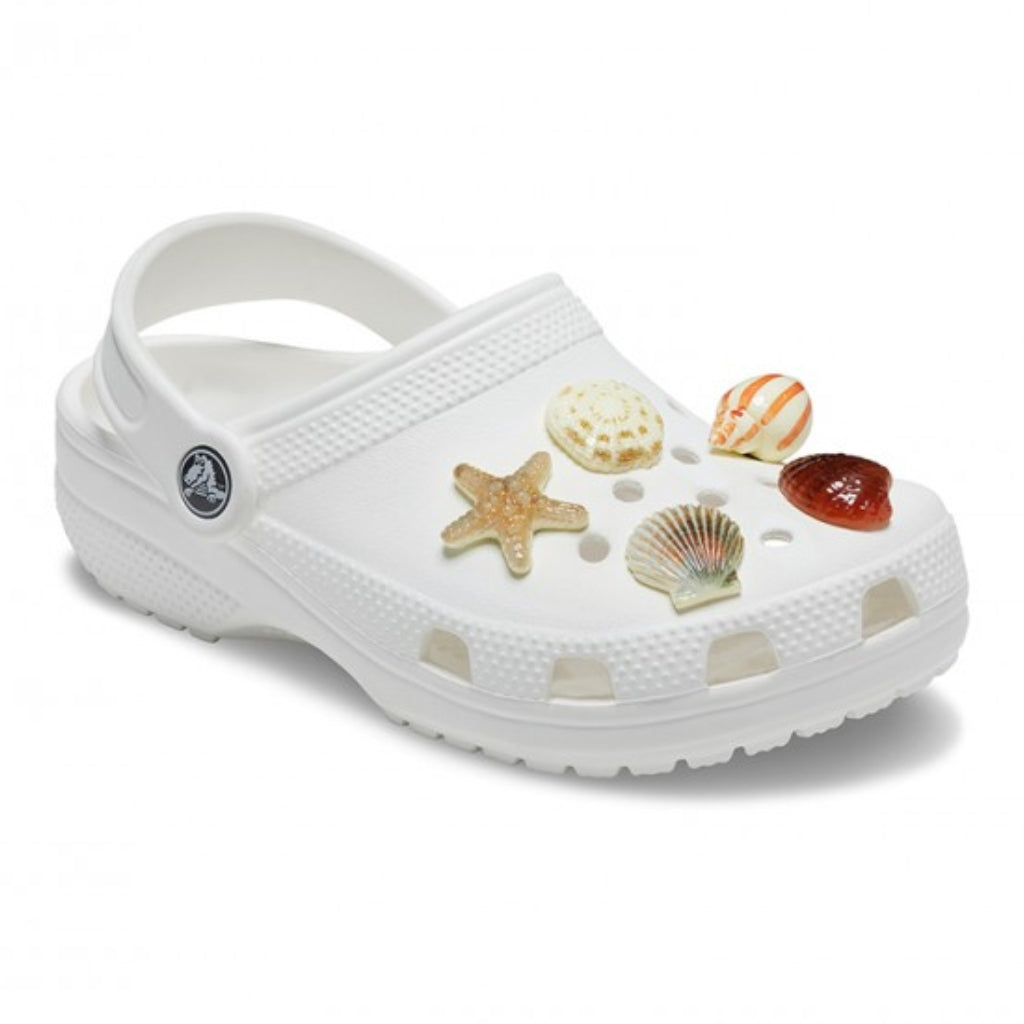 She Sells Seashells 5 Pack