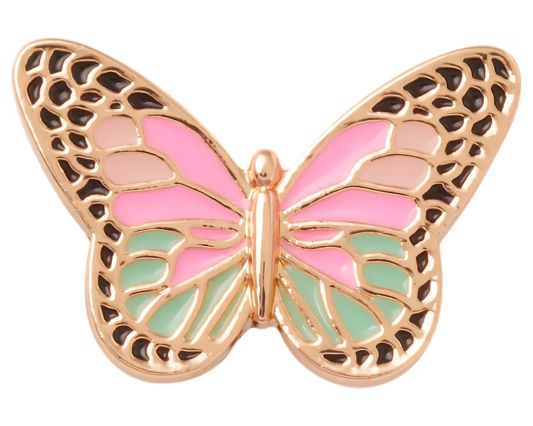Elevated Colorful Butterfly