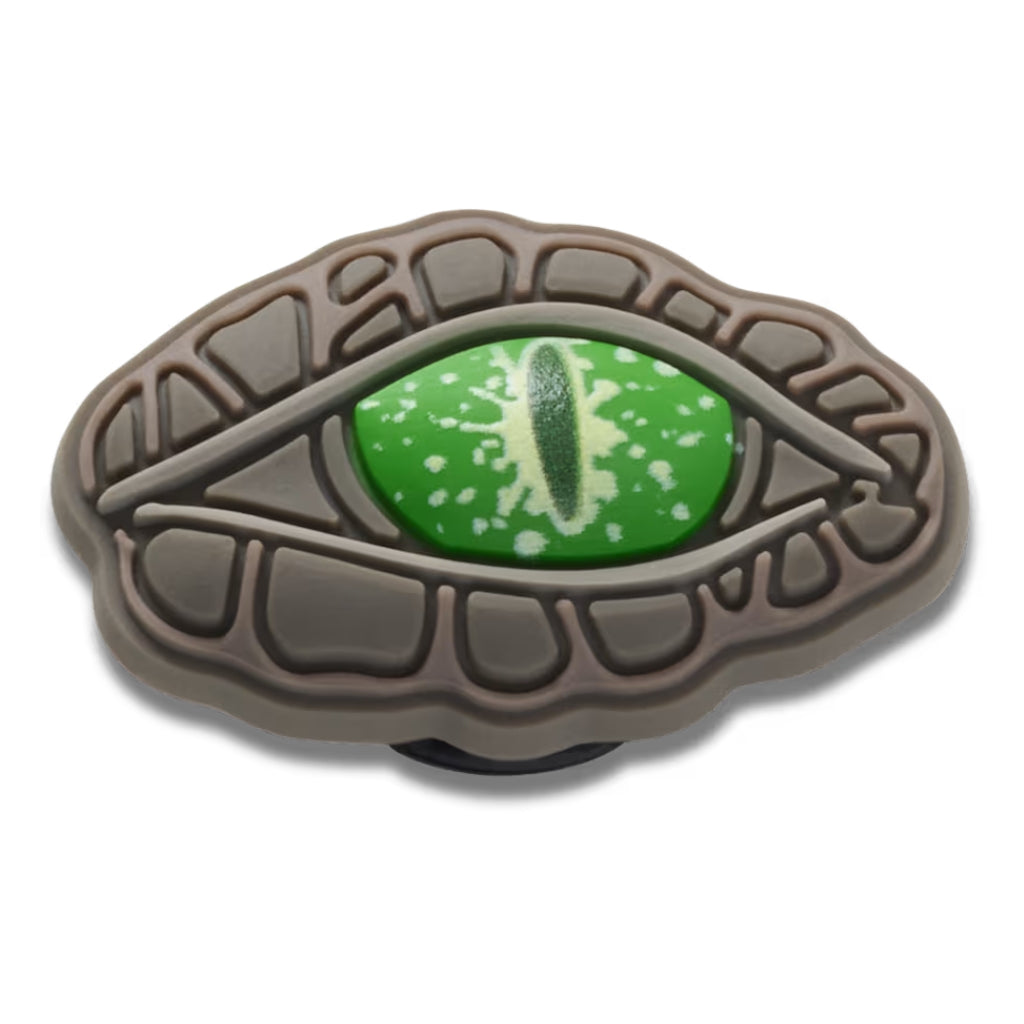 Crocodile Eye