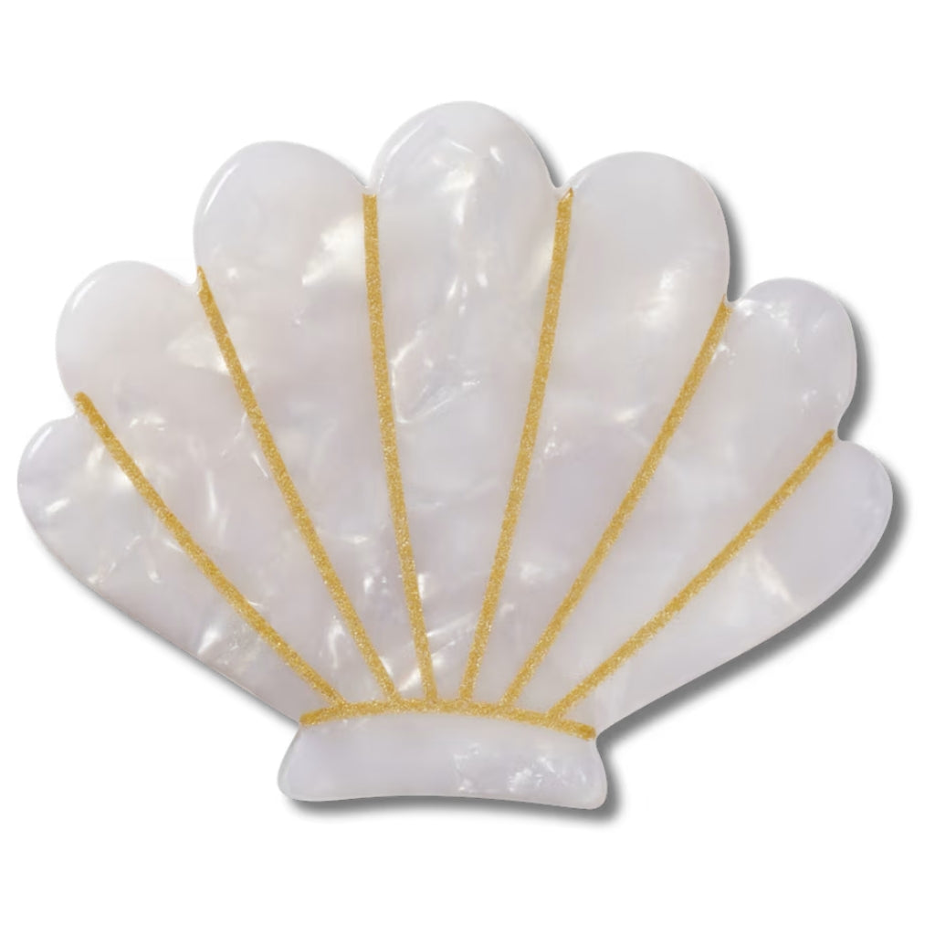 White And Gold Seashell