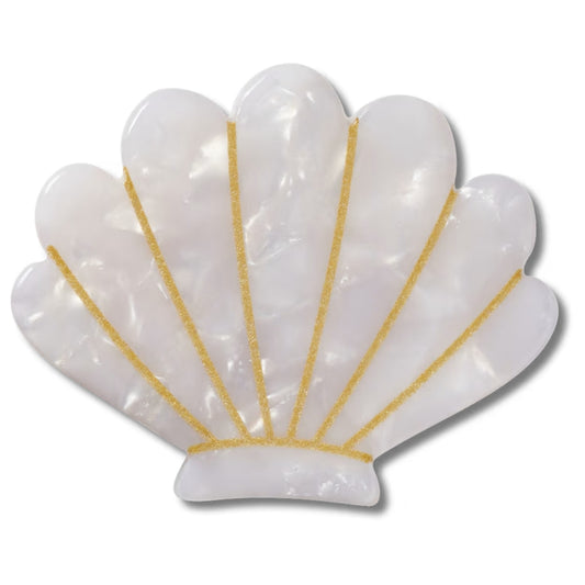 White And Gold Seashell