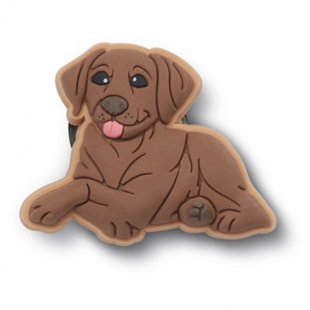 Brown Lab Puppy