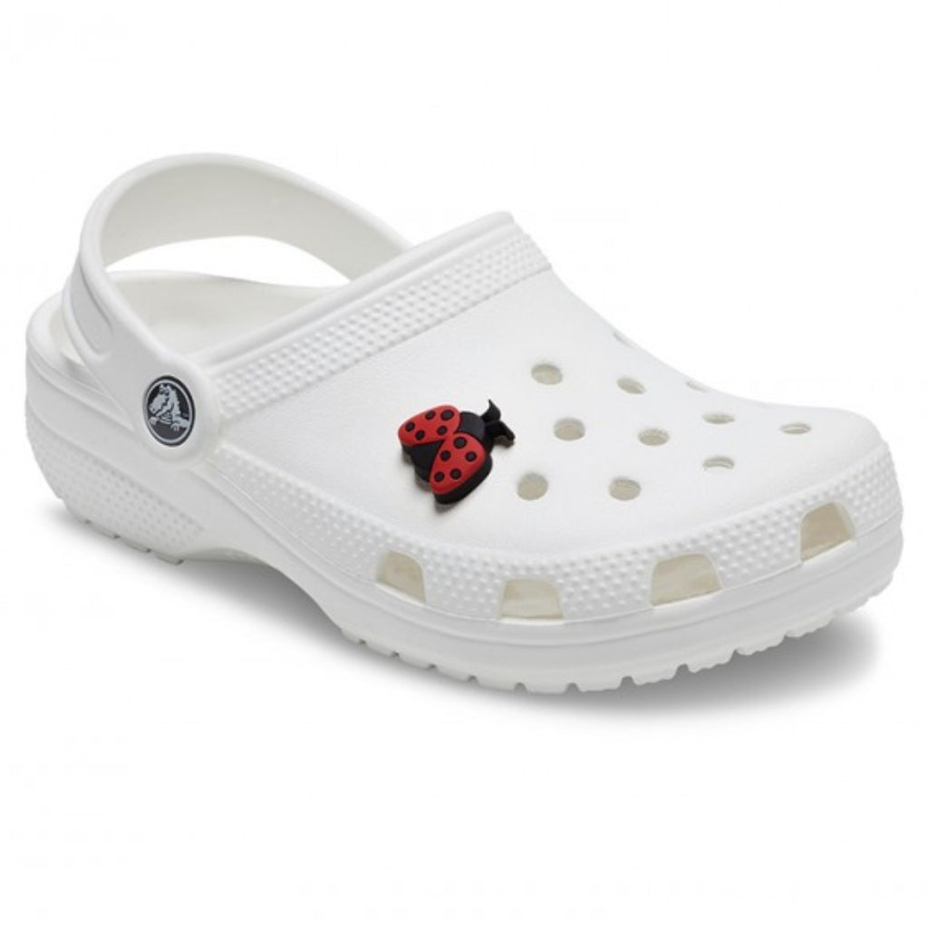 Lil Ladybug