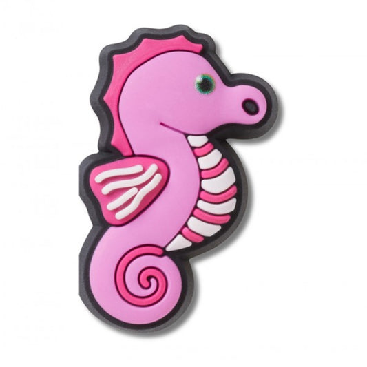 Baby Animal Seahorse