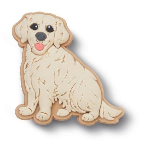 Golden Retriever Puppy