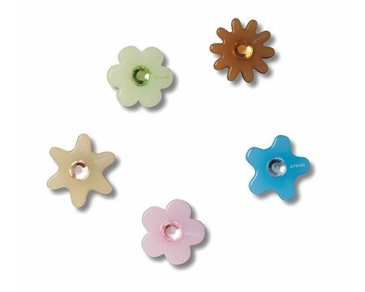 Enlighten Flower 5 Pack